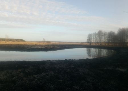 0777 0777